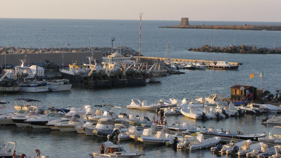 Kunesias