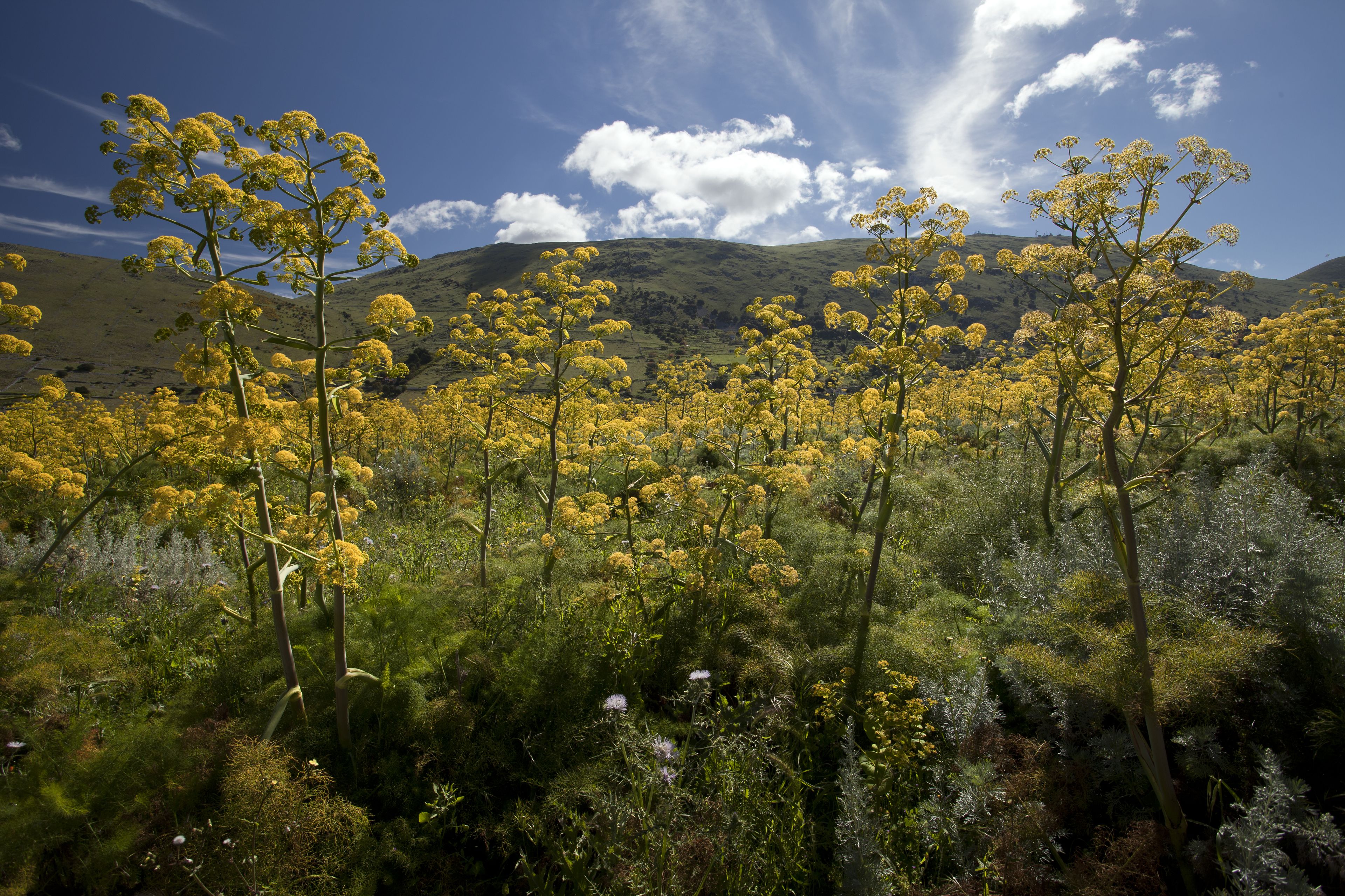 Photo - Kunesias B&B