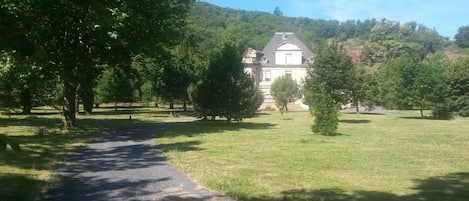 Garden view