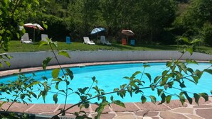 Una piscina con borde de piedra, rodeada de sillas de descanso y sombrillas, con abundante follaje de fondo.