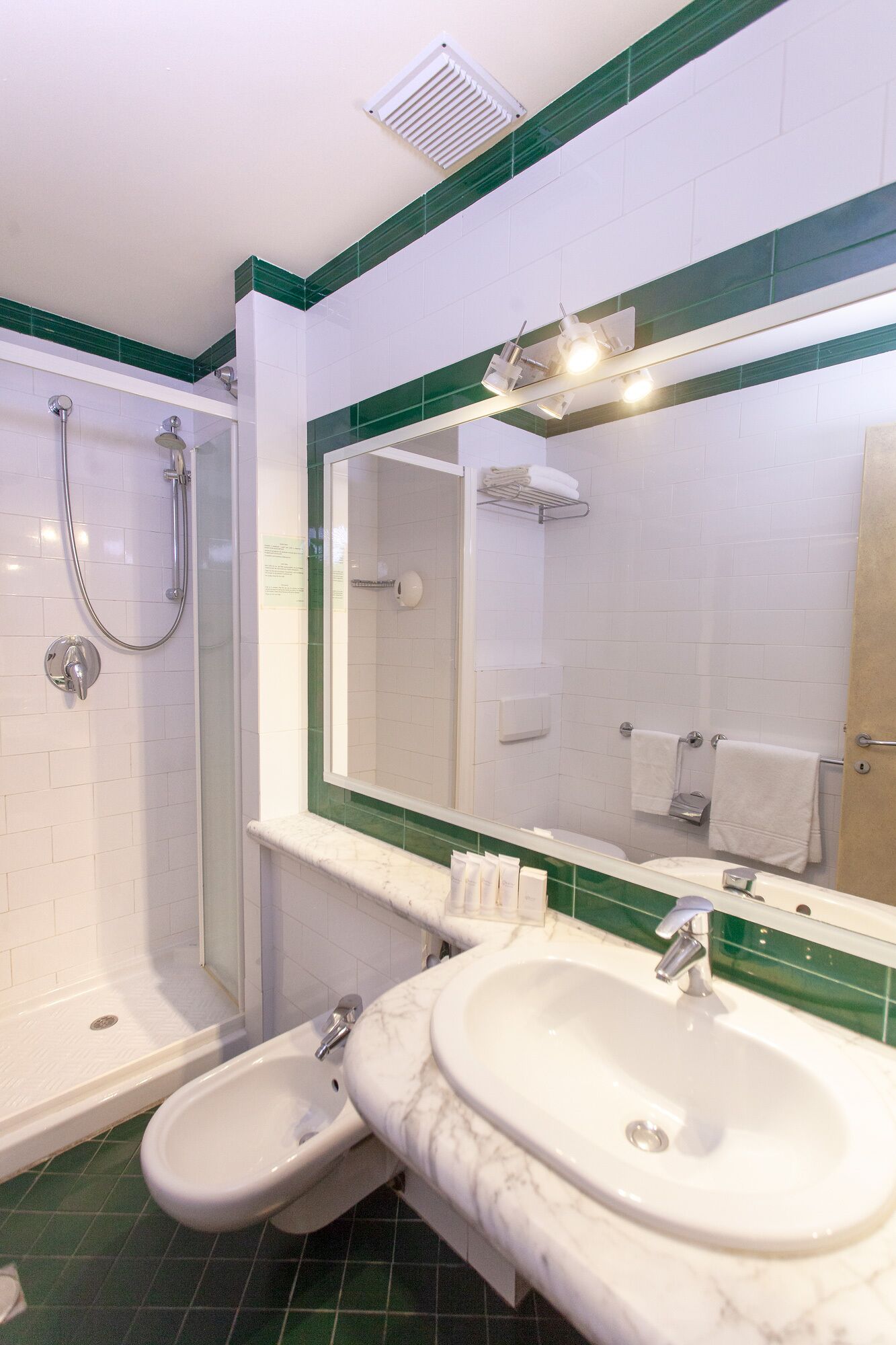 shower, hair dryer, bidet, towels