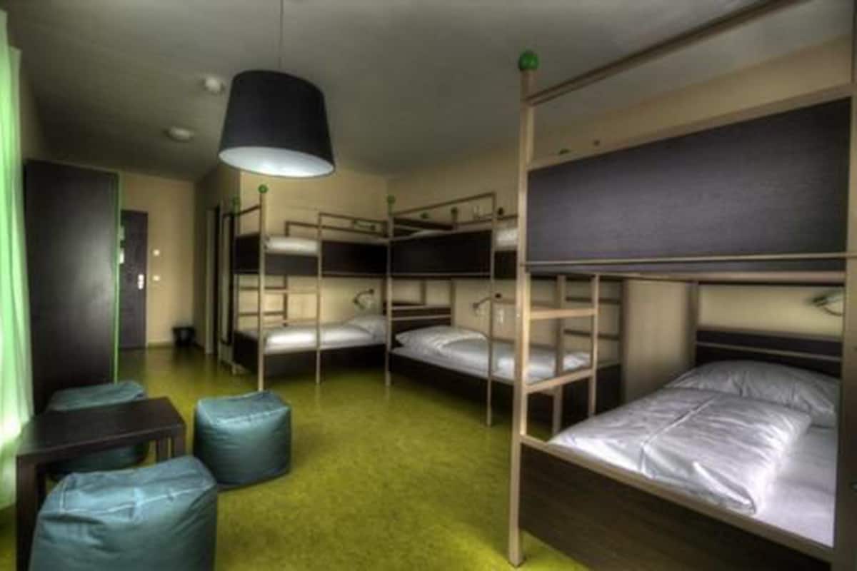 Une chambre de dortoir avec des lits superposés, une moquette verte et un luminaire suspendu.