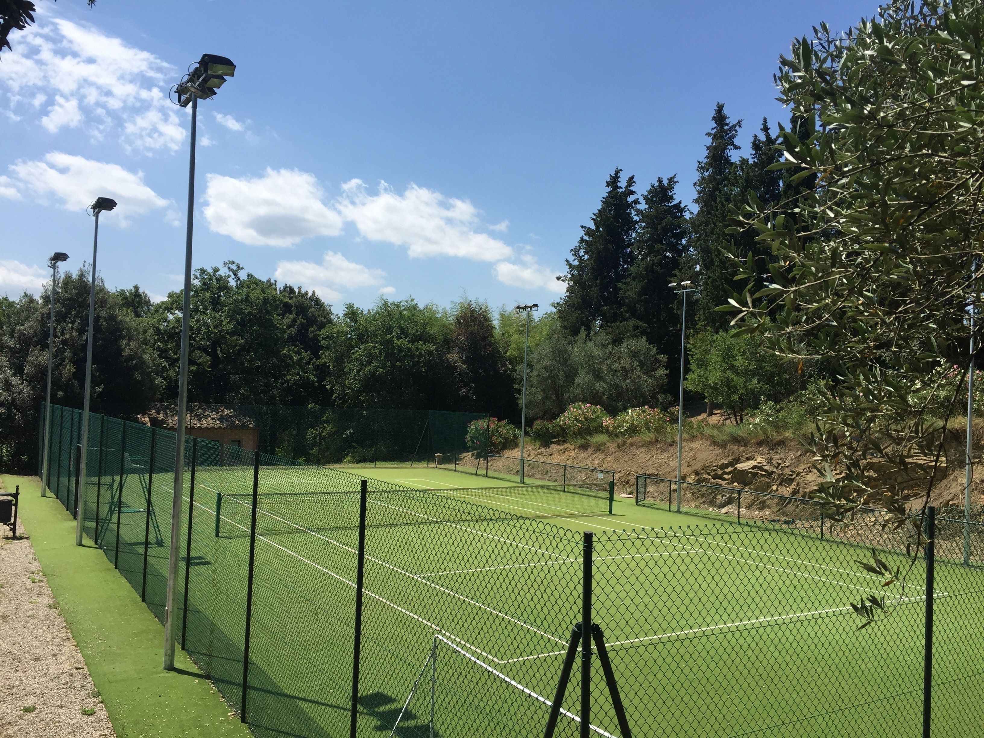 Una cancha de tenis con superficie verde, rodeada por una cerca de alambre y árboles.