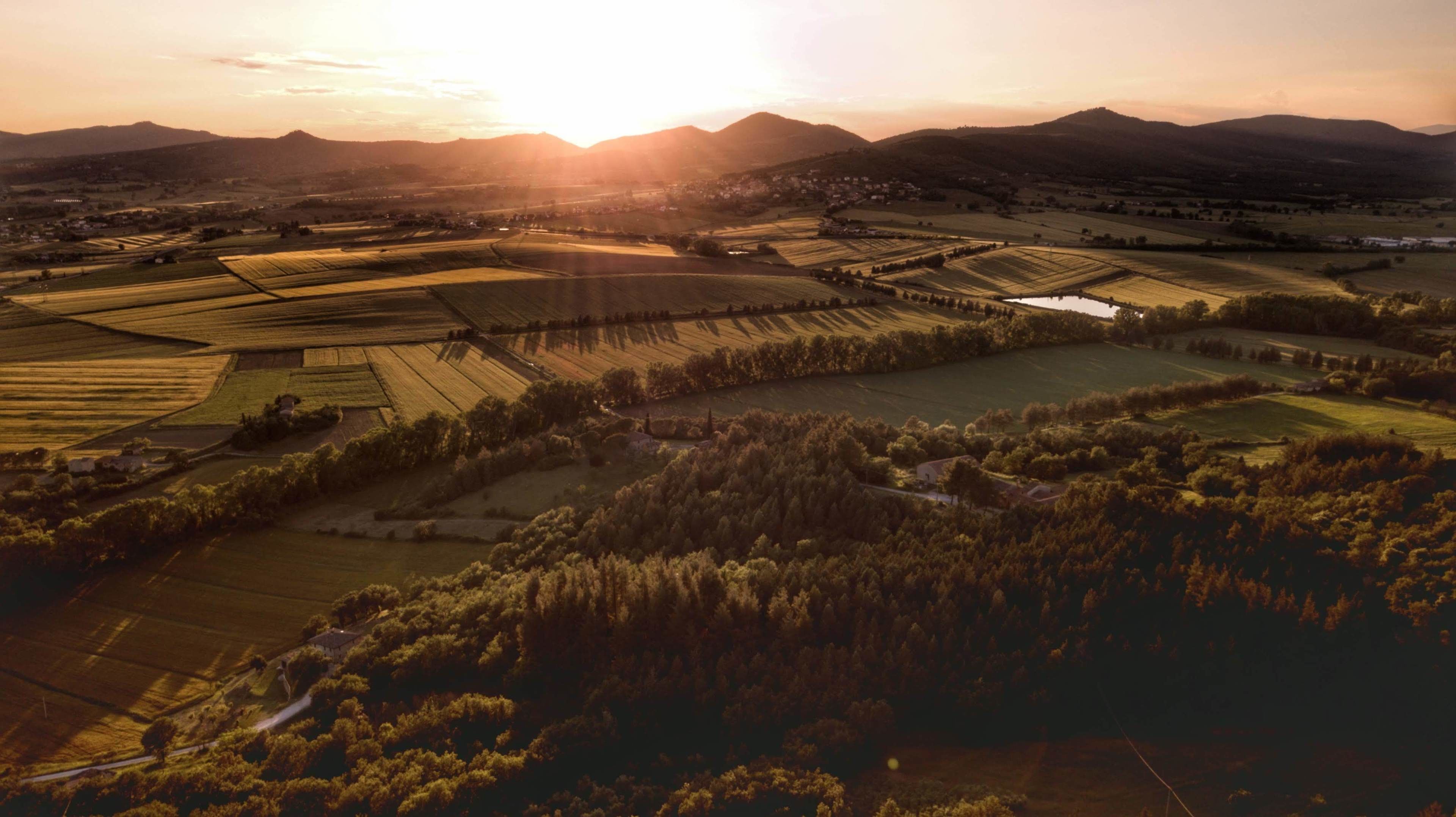 An aerial view of a rural landscape with fields, a small body of water, and a forested area.