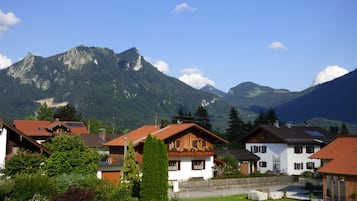 View from room