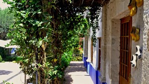 A narrow alleyway with a building on one side, a potted plant on the other, and a wooden door. - Hotel Casona Solar (Arequipa)