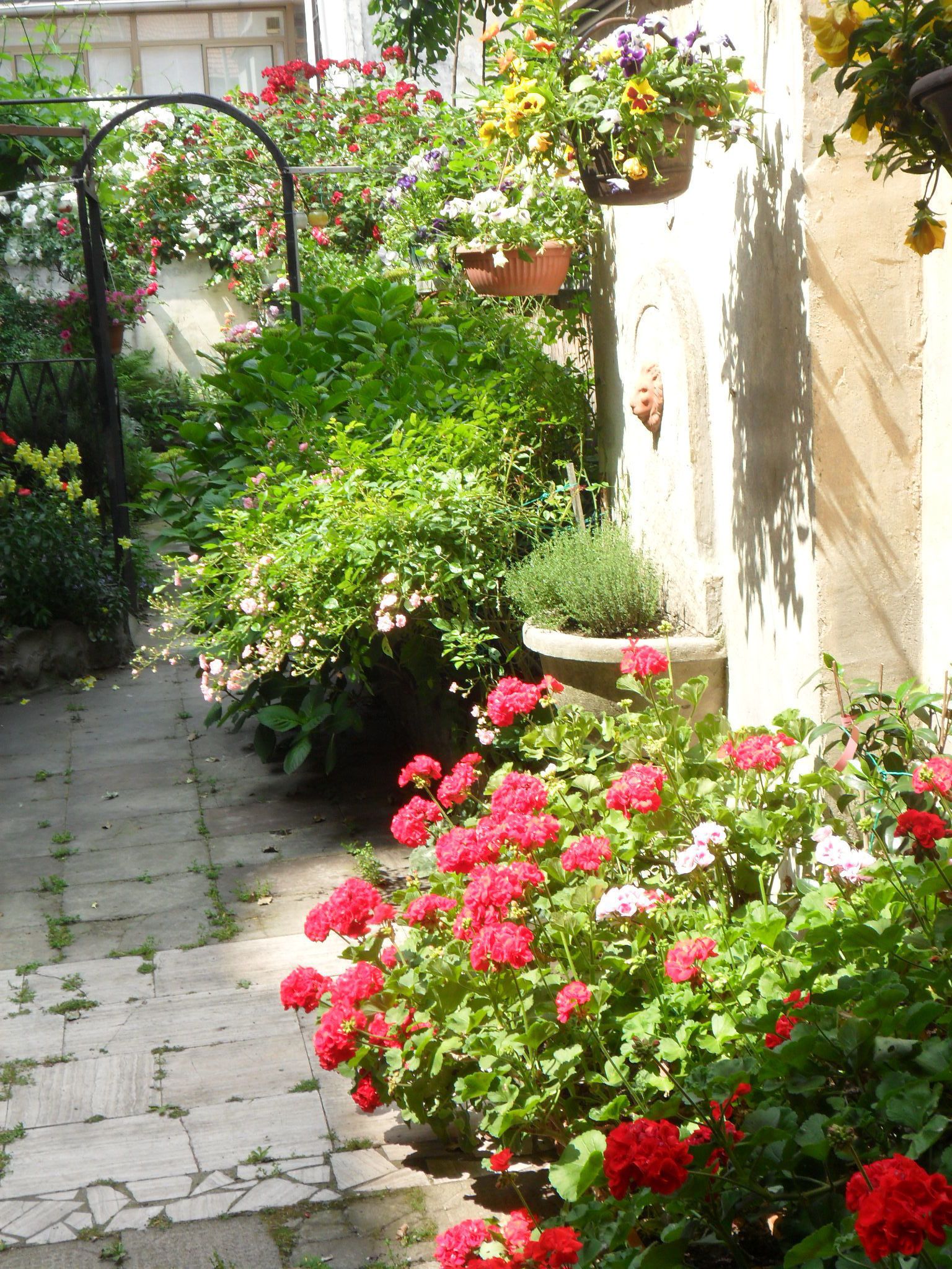 A garden with a stone pathway, various flowering plants, and a metal archway.