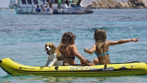 Actividades para niños