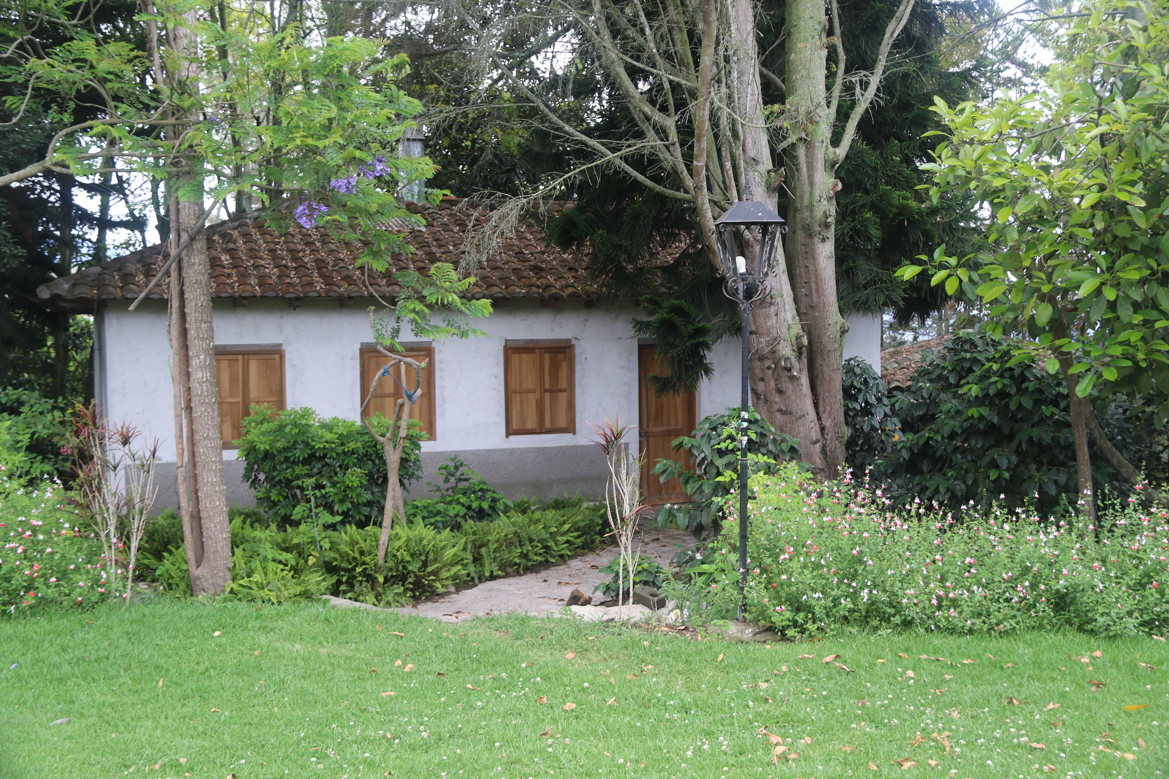 A white building with a tiled roof, surrounded by a garden with various plants and flowers.