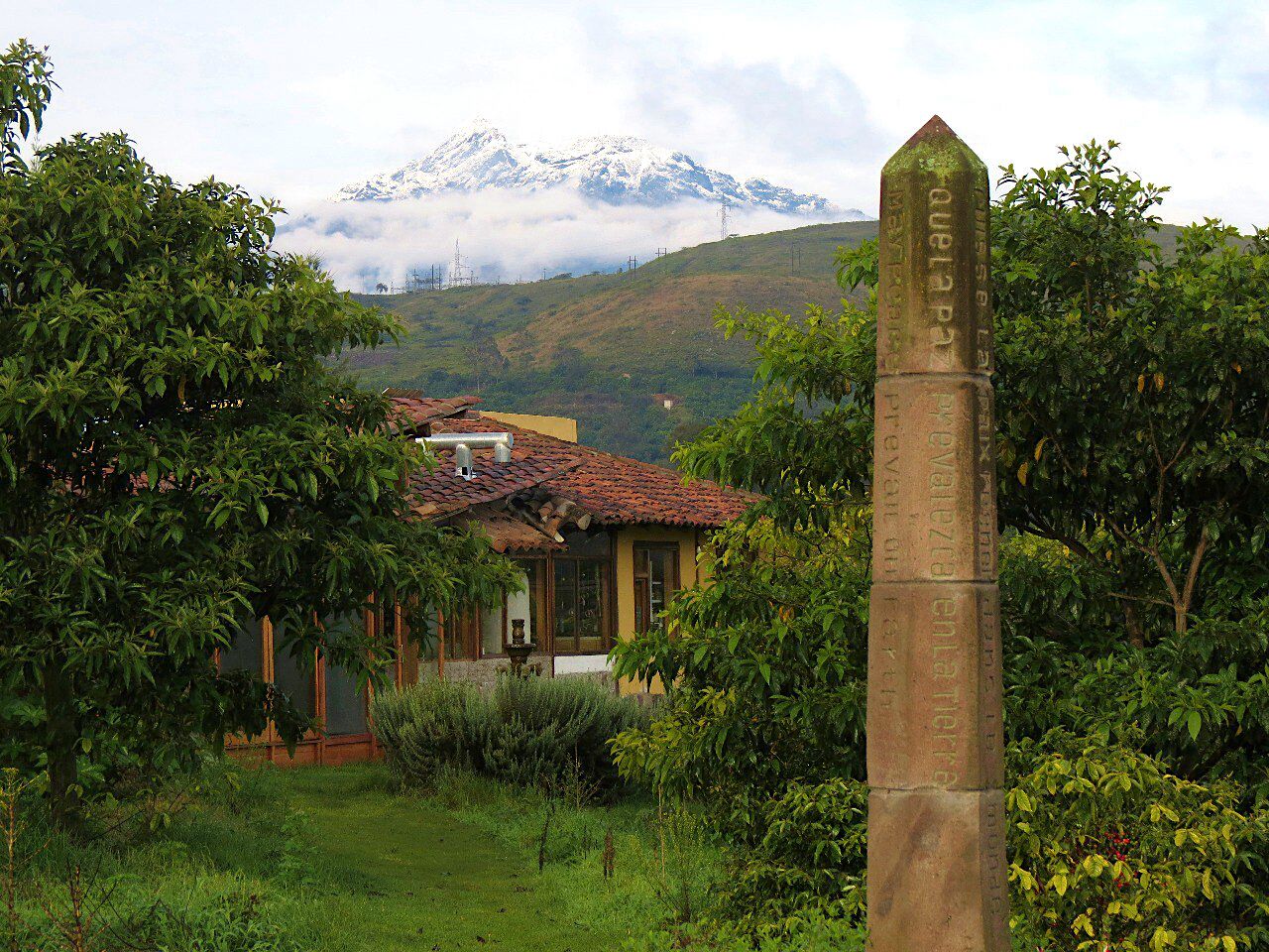 A house with a tiled roof, surrounded by lush greenery and a mountain in the background.