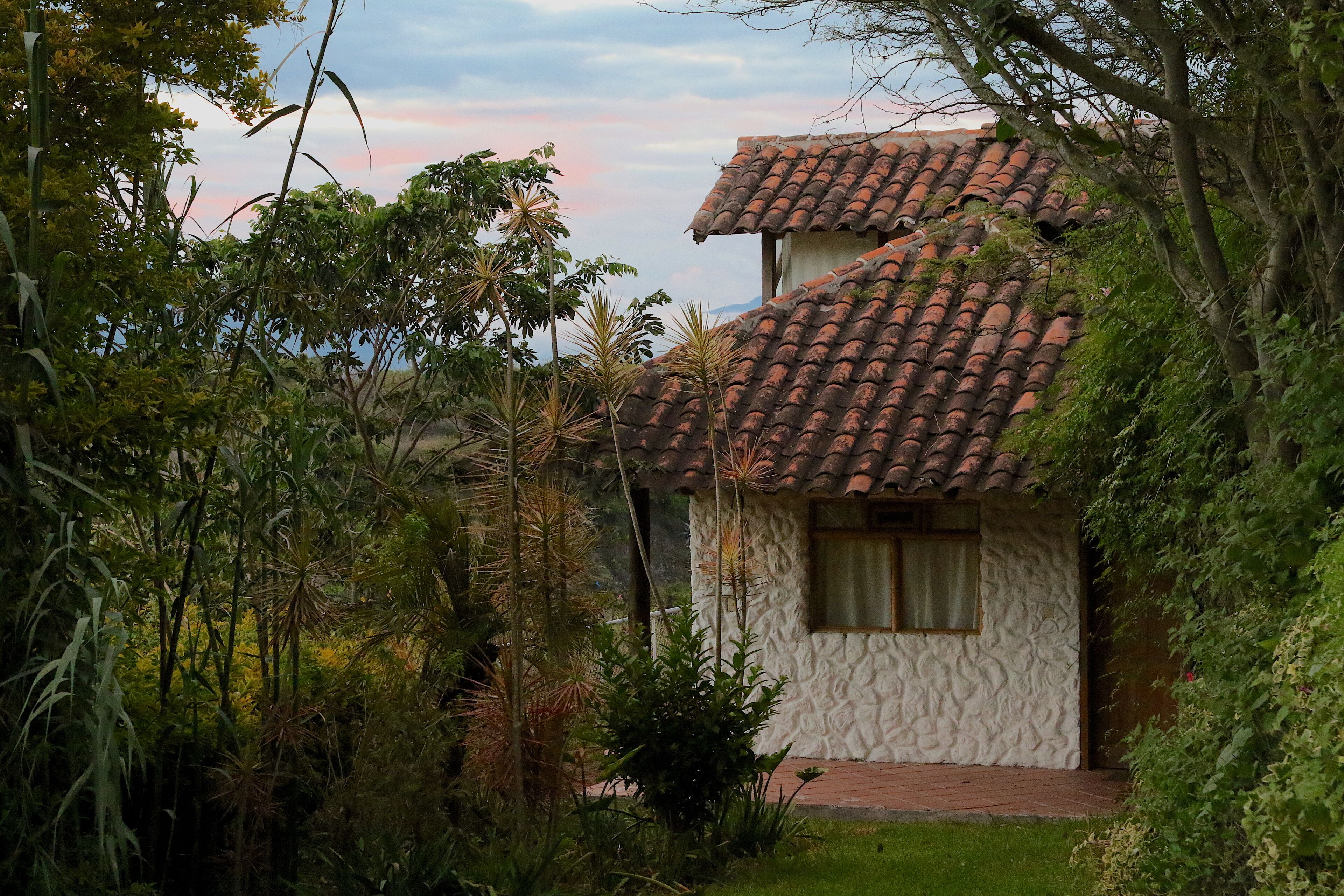 Uma casa rústica com telhado de telhas, rodeada por vegetação exuberante e um céu claro.