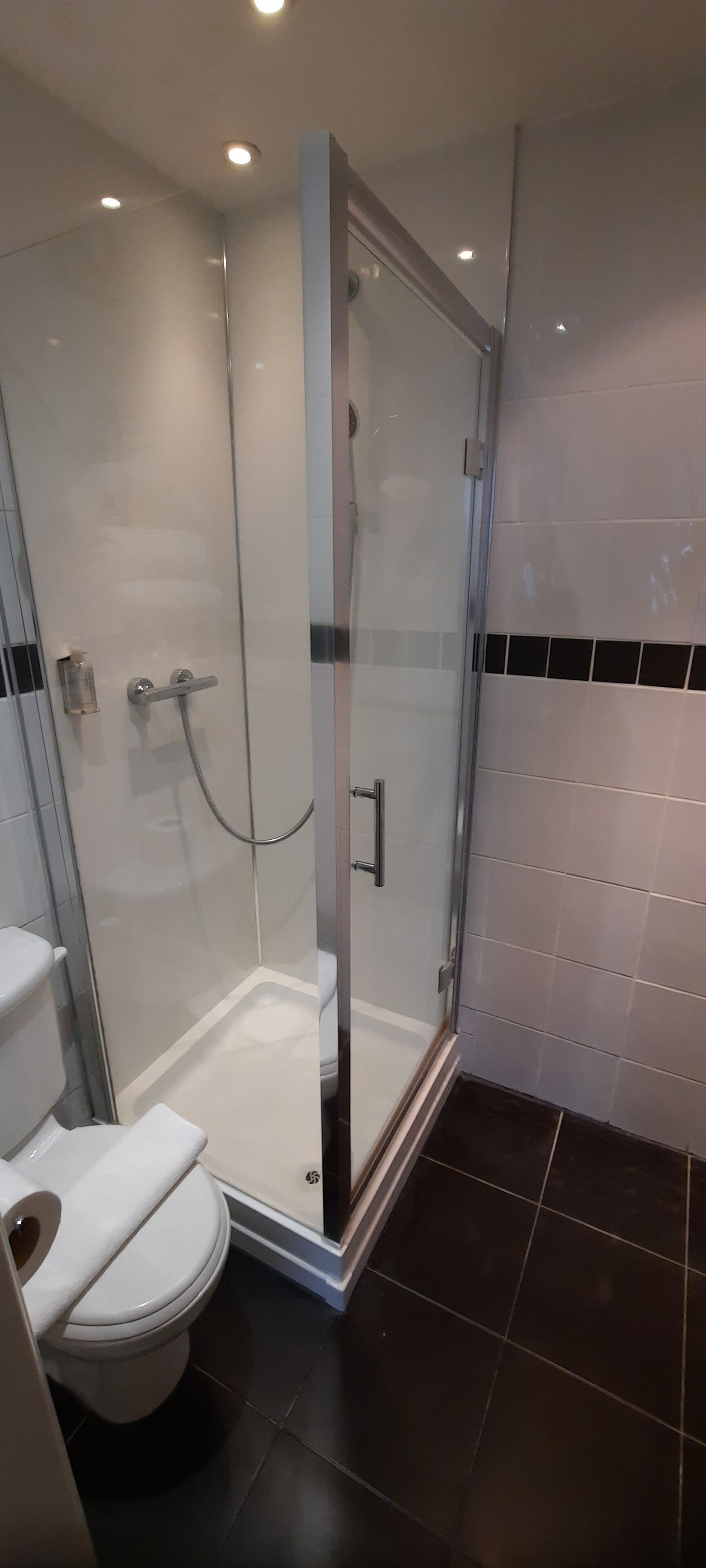 A modern bathroom with a glass-enclosed shower, a white toilet, and dark tiled flooring.