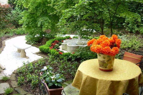 Garden
