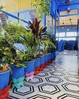 Un pasillo con plantas en macetas, sillas azules y suelo estampado.