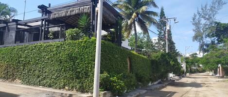 A residential area with a house featuring a thatched roof, a well-maintained hedge, and a palm tree.