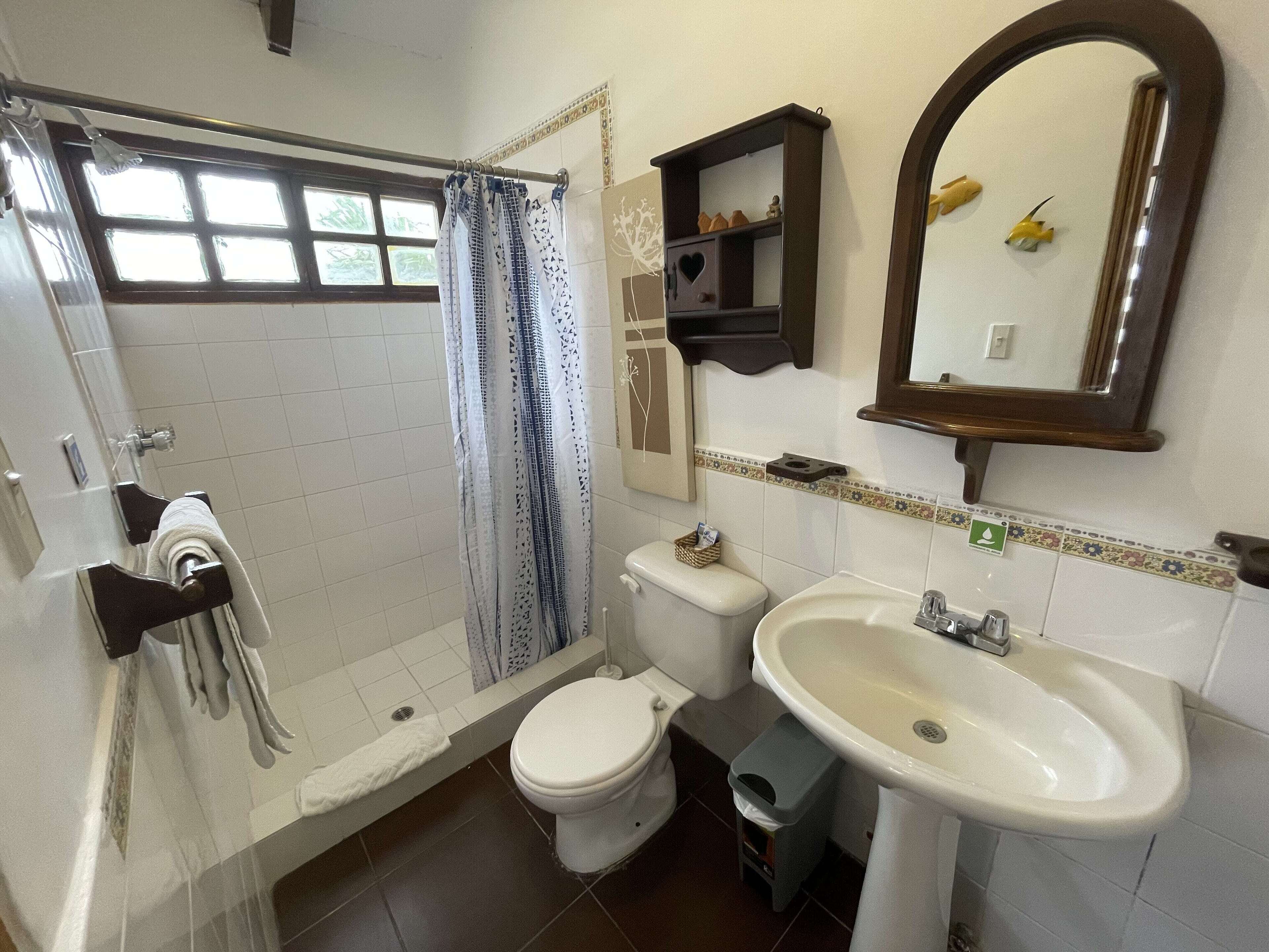 A bathroom with a shower, toilet, sink, and a mirror.