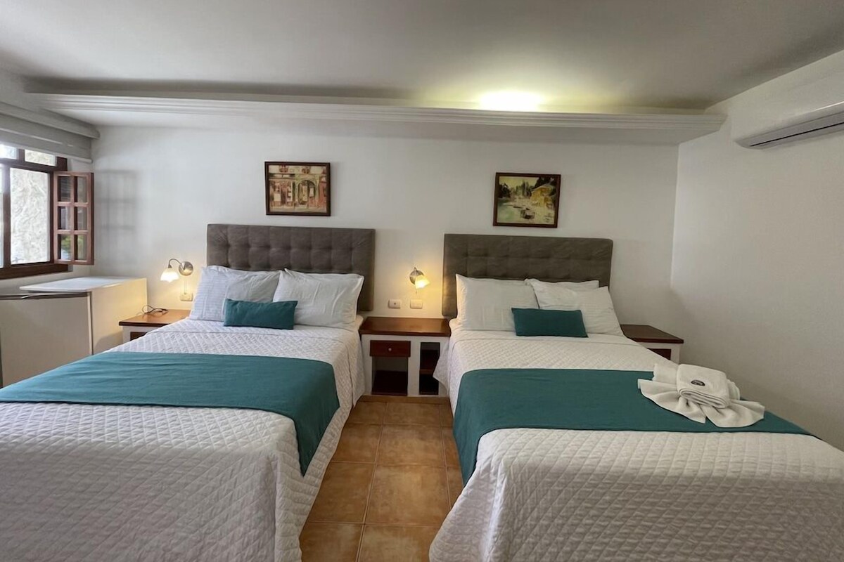 Down duvets, iron/ironing board (on request), bed sheets