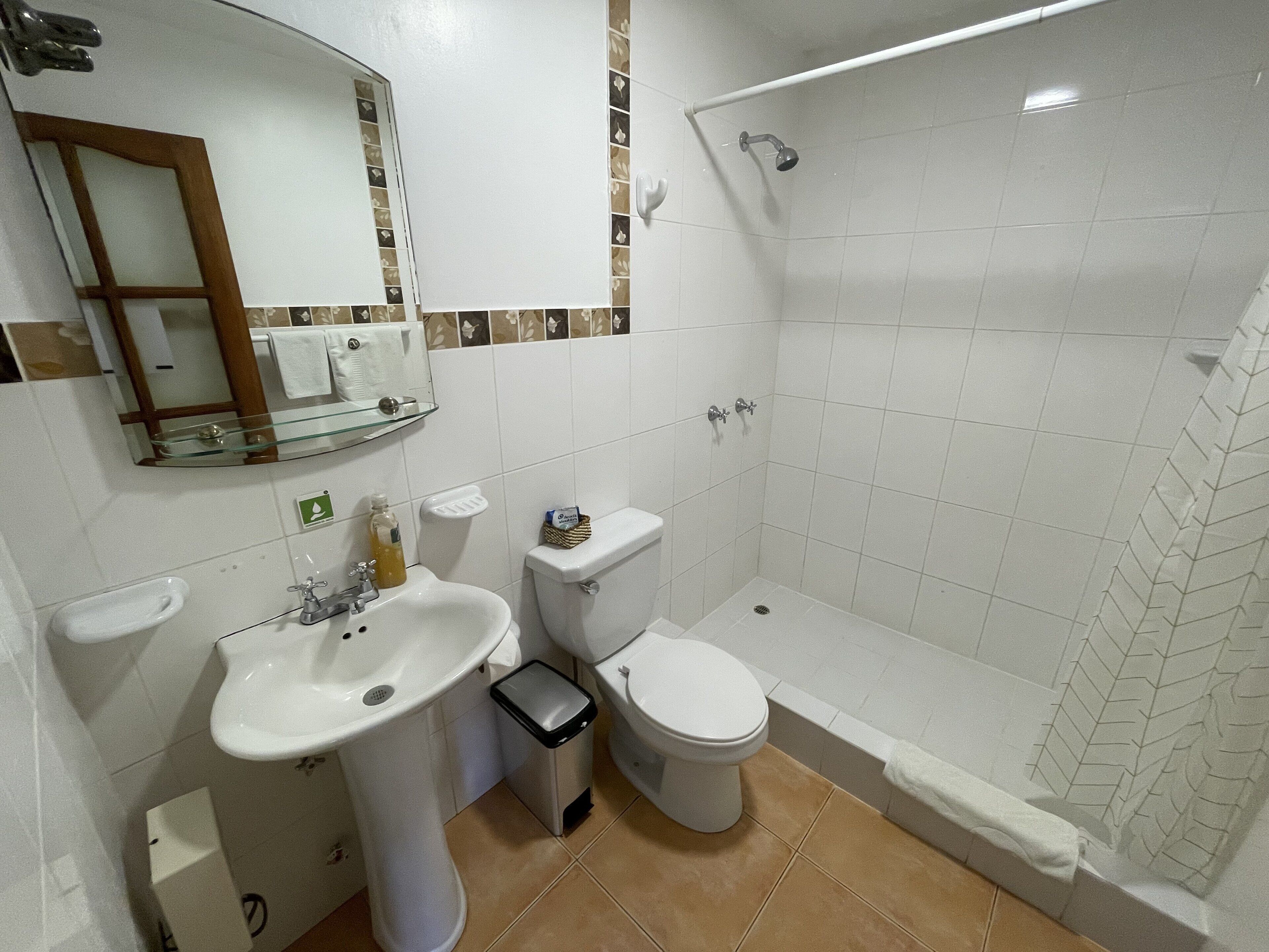 Baño con lavamanos, inodoro y ducha.