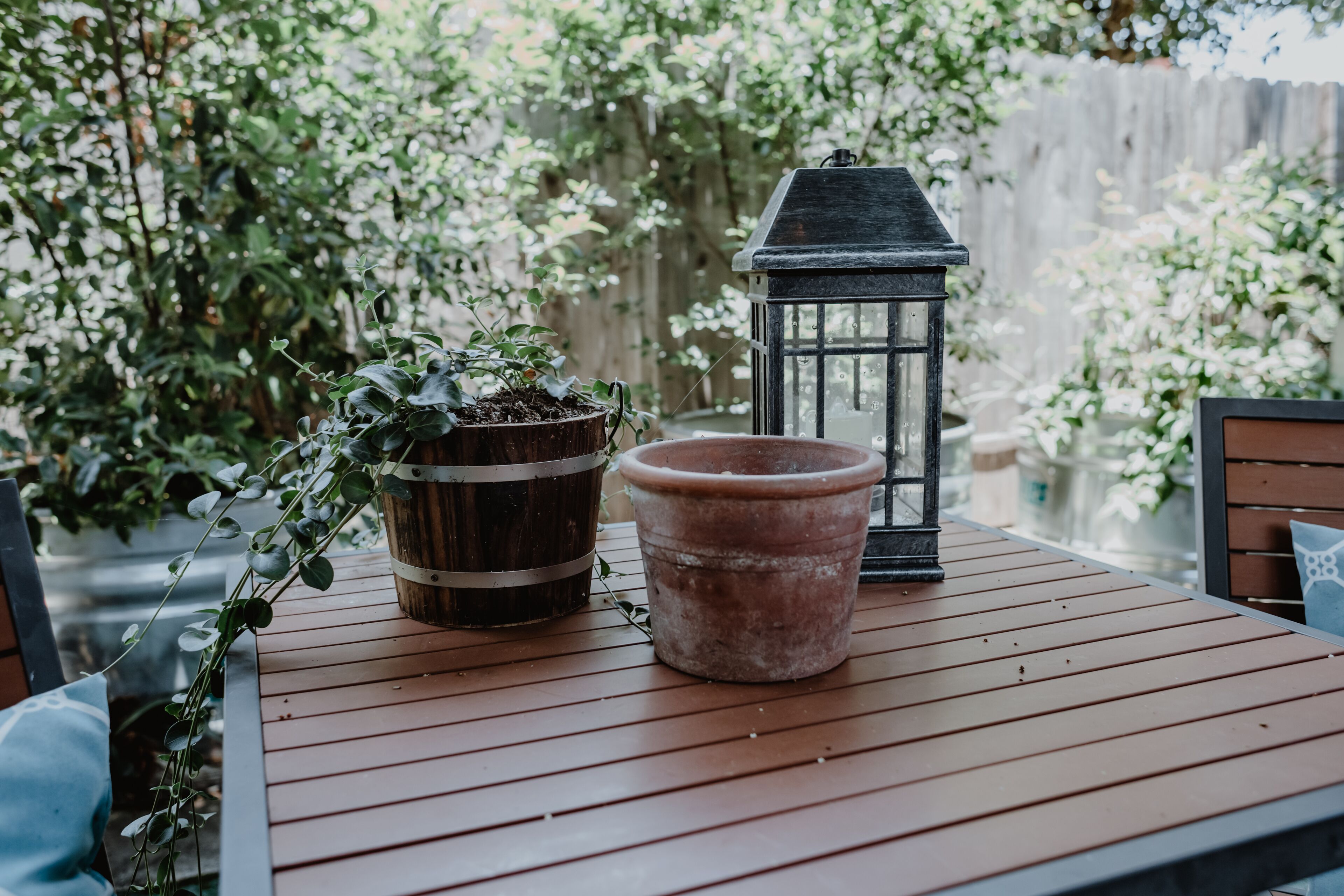 A wooden table with two potted plants and a lantern.