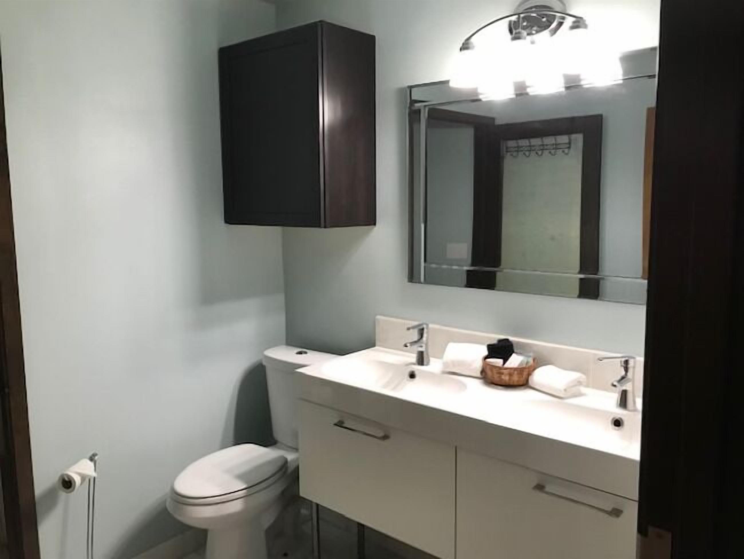 A bathroom with a toilet, a sink with a mirror above it, and a cabinet above the sink.