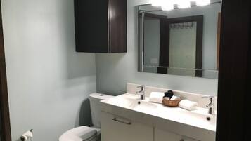 A bathroom with a toilet, a sink with a mirror above it, and a cabinet above the sink.