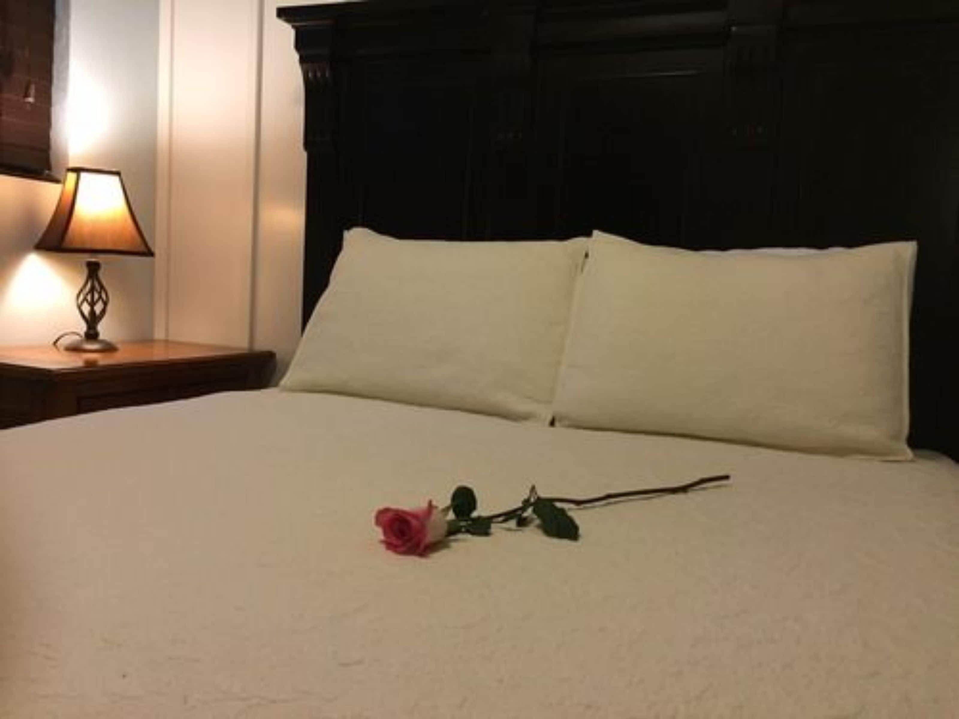 Ein ordentlich bezogenes Bett mit weißer Bettwäsche und einer einzelnen rosa Rose darauf.
