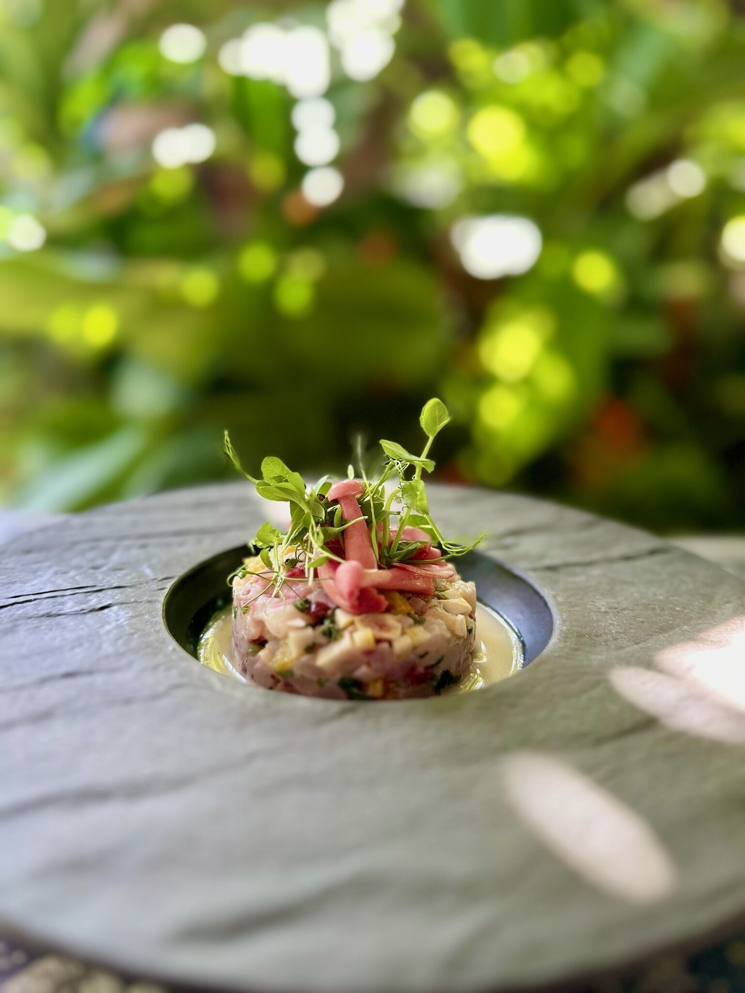 A dish with a central hole, surrounded by greenery.
