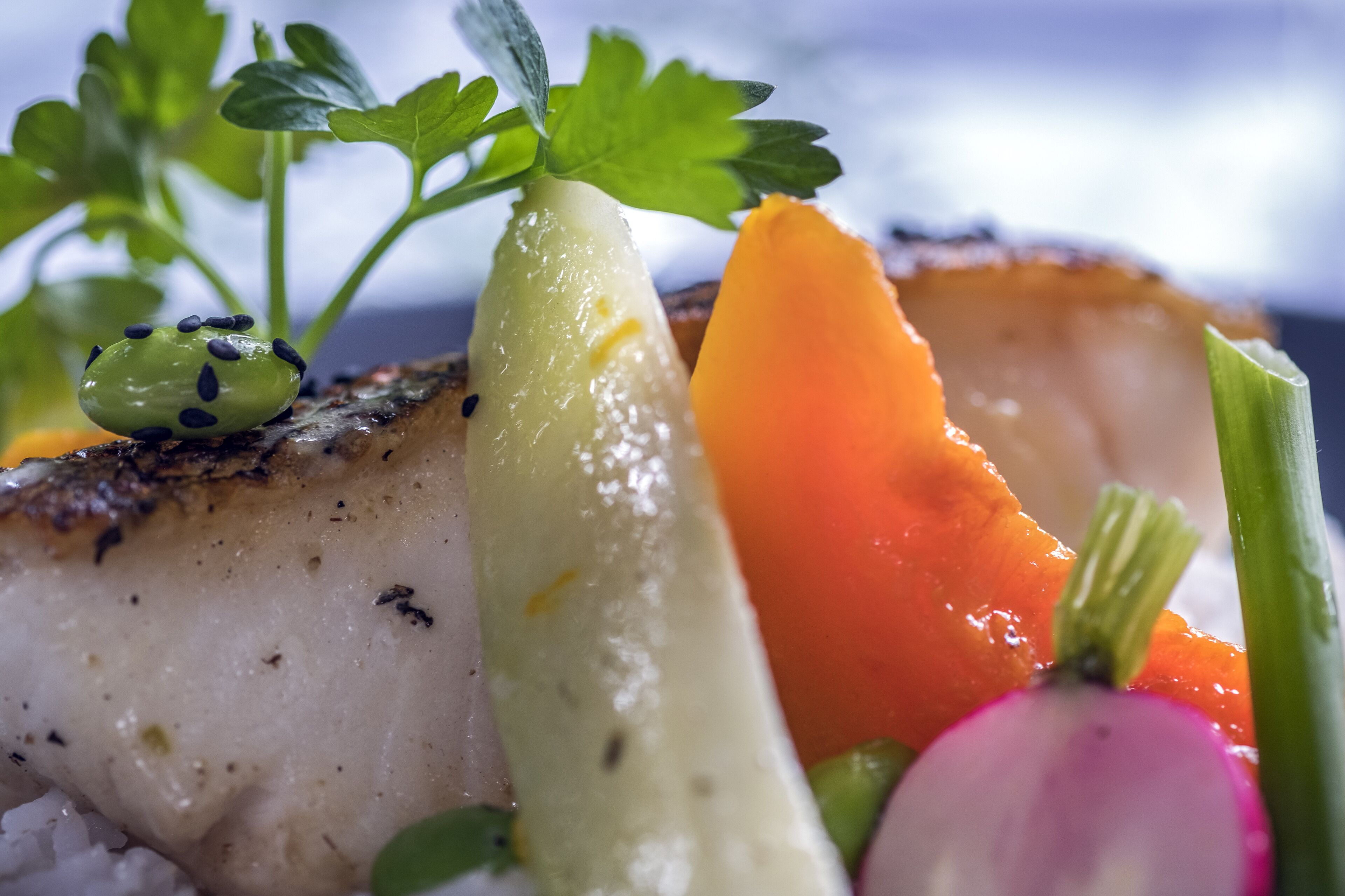 A close-up of a seared scallop with a garnish of parsley and a slice of carrot.