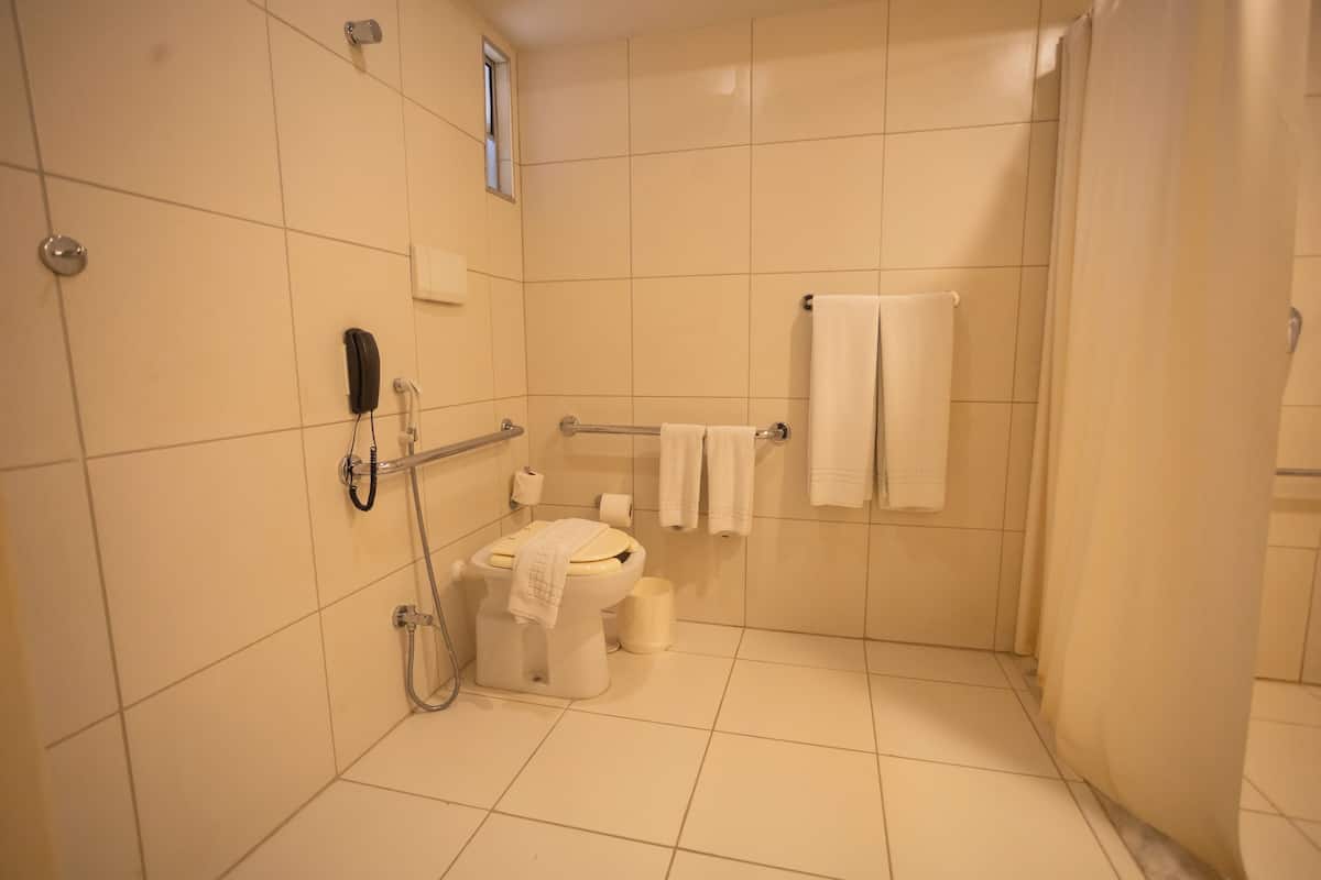 room, 1 king bed, accessible (roll-in shower) | bathroom | shower, free toiletries, hair dryer, towels