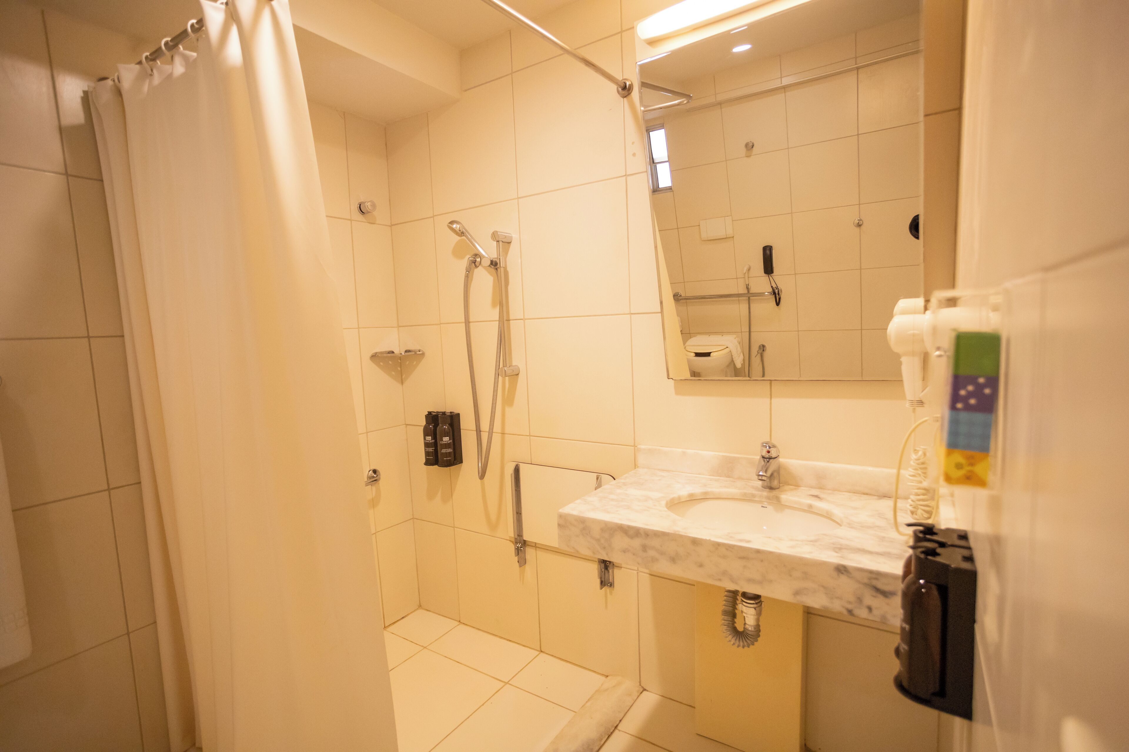 room, 1 king bed, accessible (roll-in shower) | bathroom | shower, free toiletries, hair dryer, towels