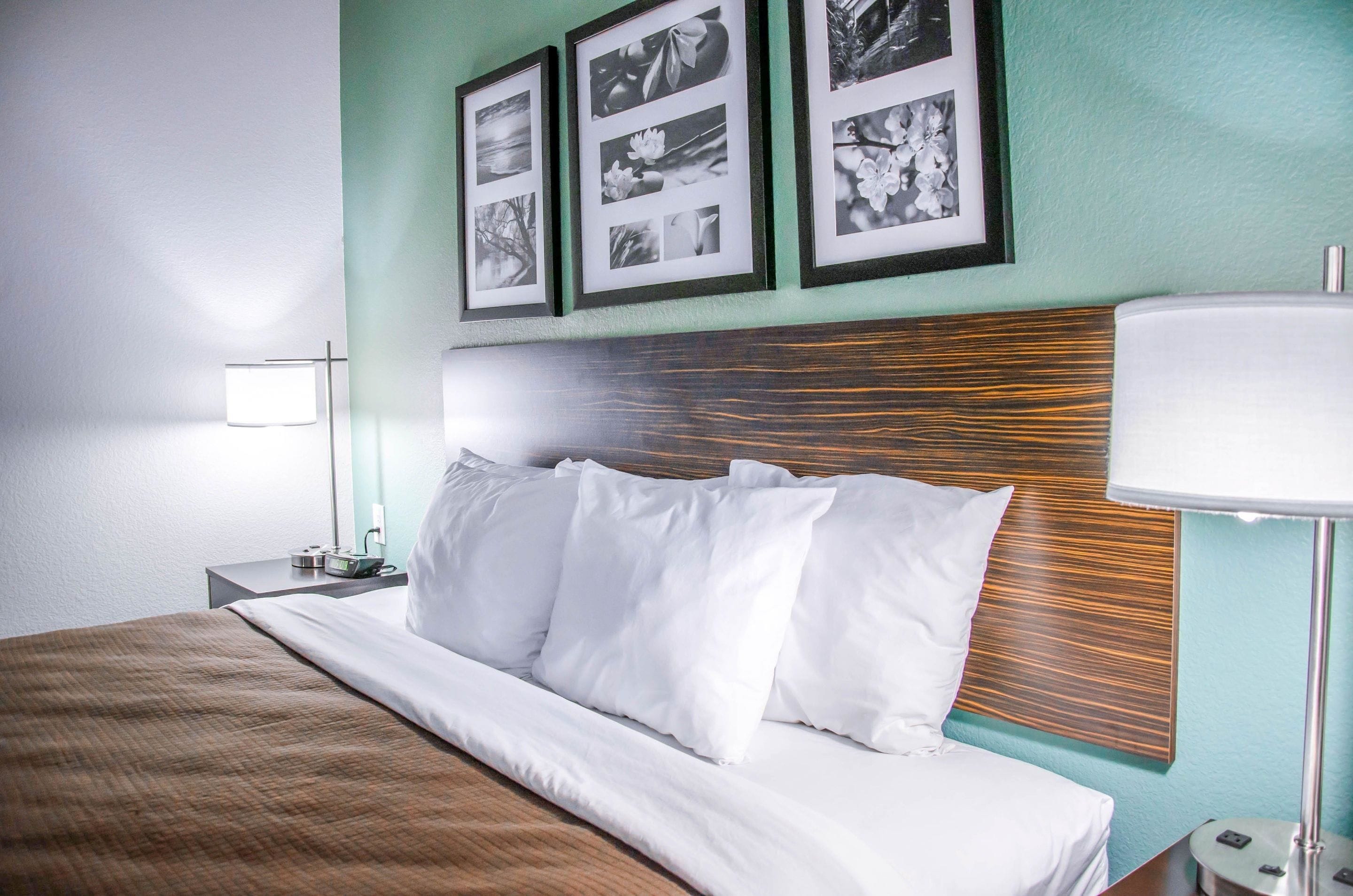 standard room, 1 king bed, non smoking | pillow-top beds, desk, iron/ironing board, free wifi