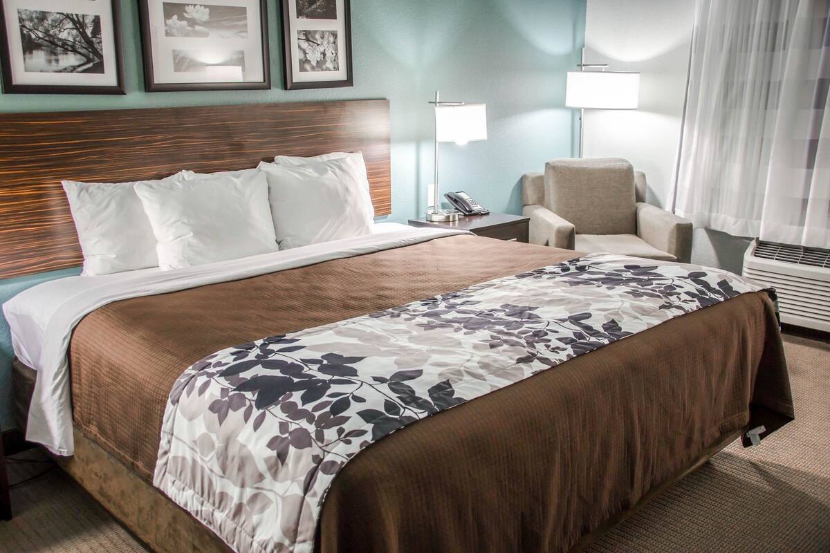 standard room, 1 king bed, non smoking | pillow-top beds, desk, iron/ironing board, free wifi