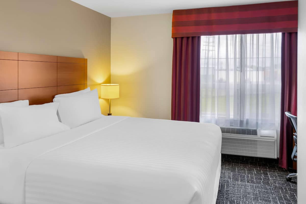 Pillow-top beds, in-room safe, desk, laptop workspace