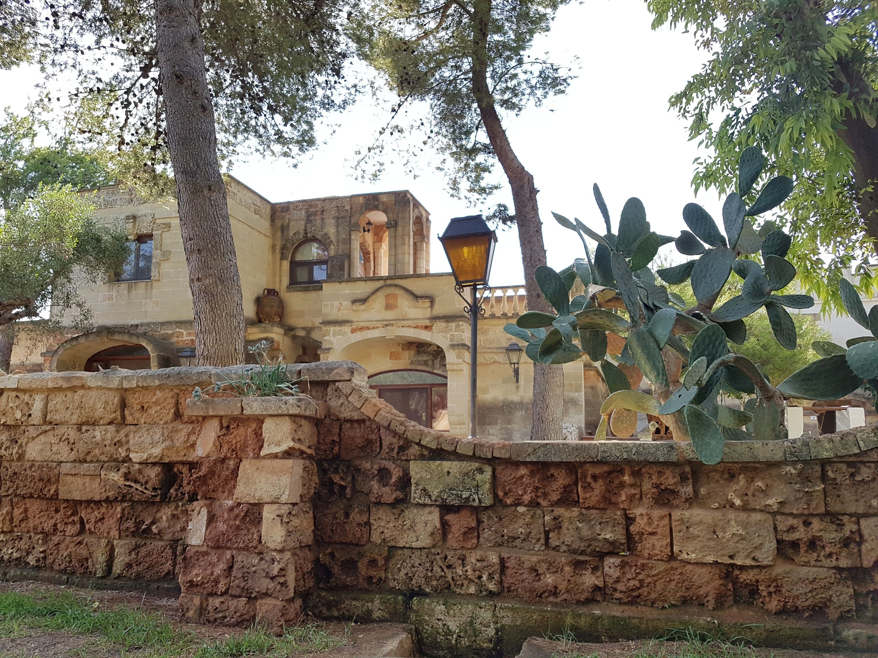 A stone wall with a cactus plant in front of a building with arches and a lamp post.