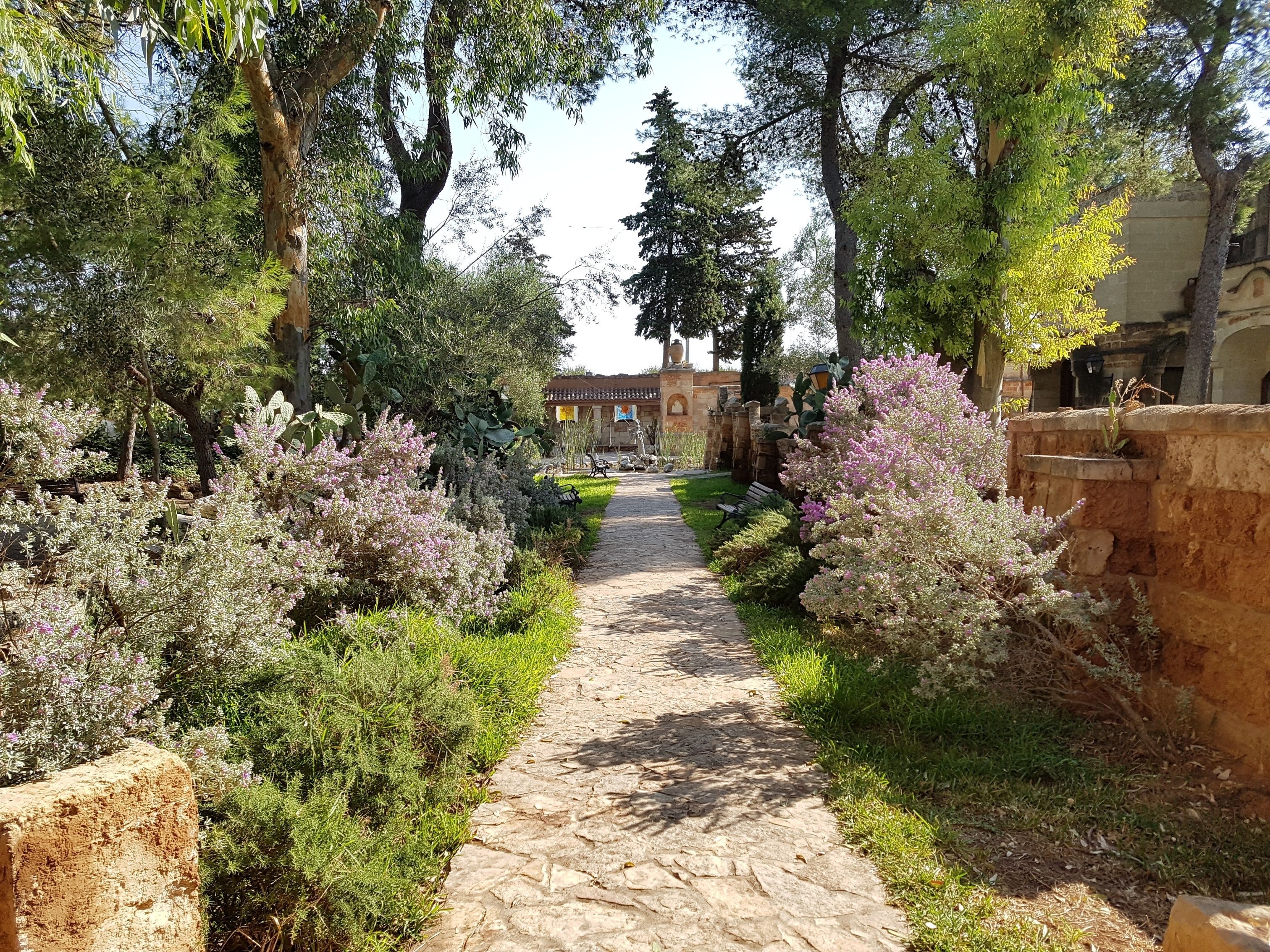 Foto - Tenute Al Bano