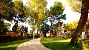 A stone pathway leading through a park with trees and ruins. - Tenute Al Bano (Cellino San Marco)