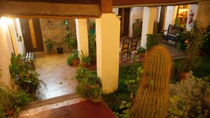 Un espacio al aire libre cubierto con plantas en macetas, un banco de madera y un cactus.