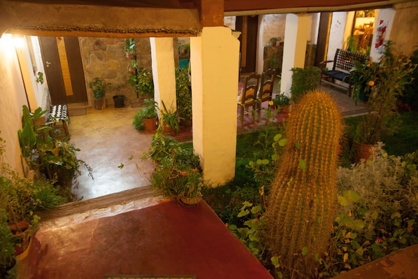 A covered outdoor area with potted plants, a wooden bench, and a cactus. - Hotel Norte Rupestre (Tilcara)