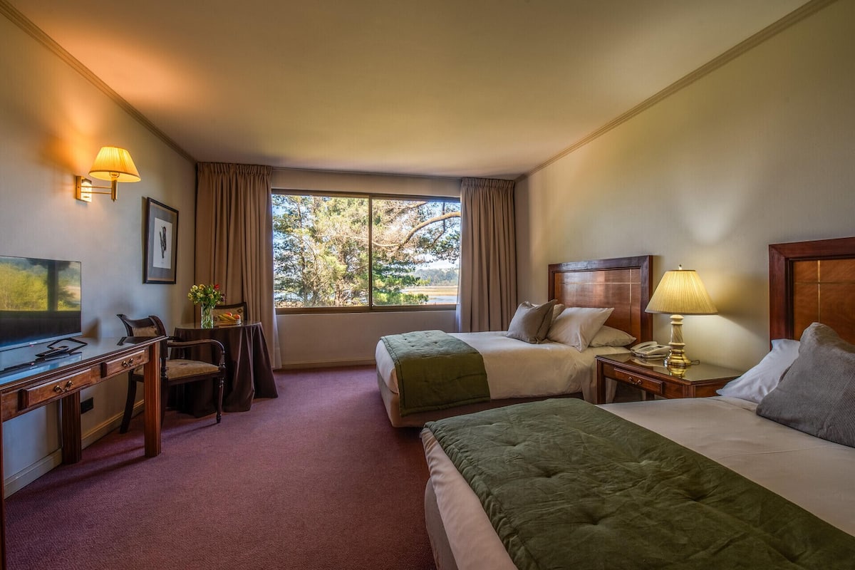 Une chambre d’hôtel avec un lit, un bureau avec une télévision, une chaise, une lampe et une fenêtre donnant sur des arbres.