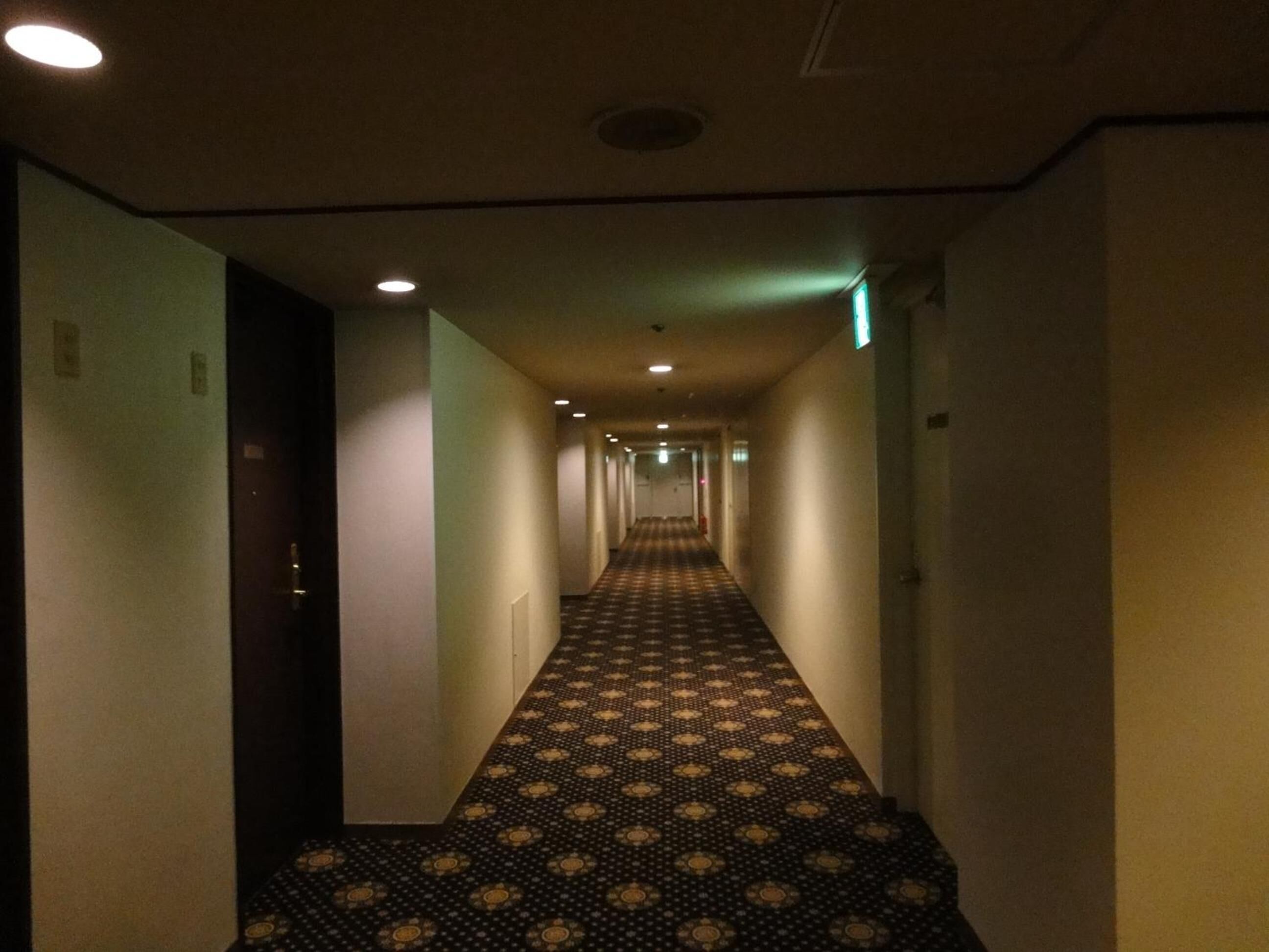 A hotel hallway with a patterned carpet, white walls, and doors on both sides.
