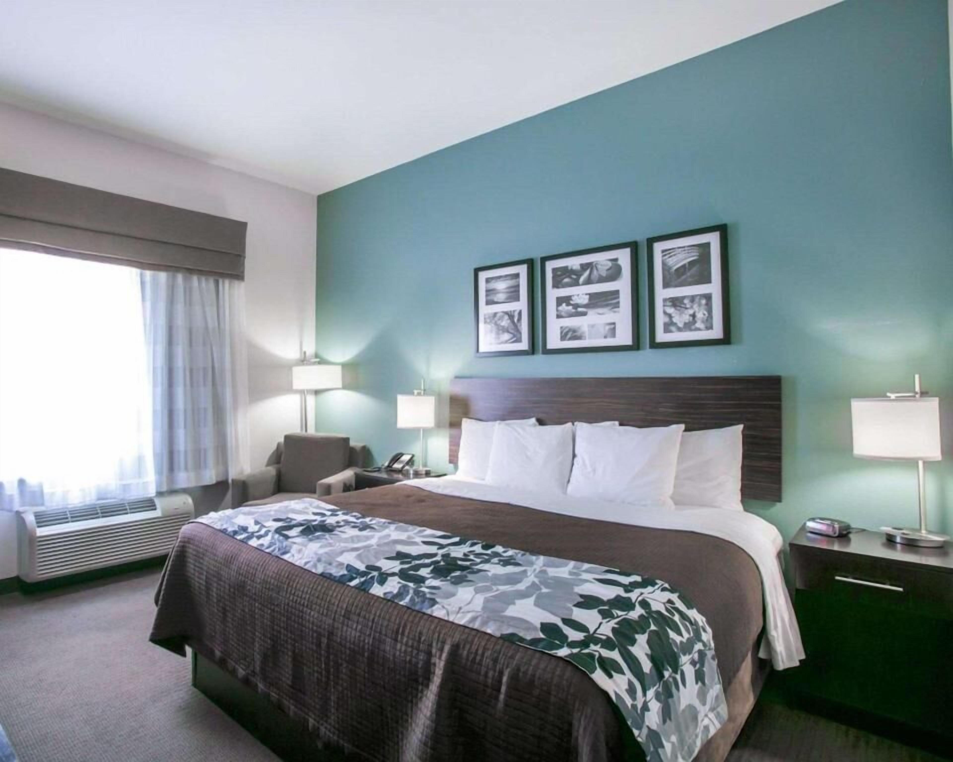Premium bedding, down duvets, pillow-top beds, desk