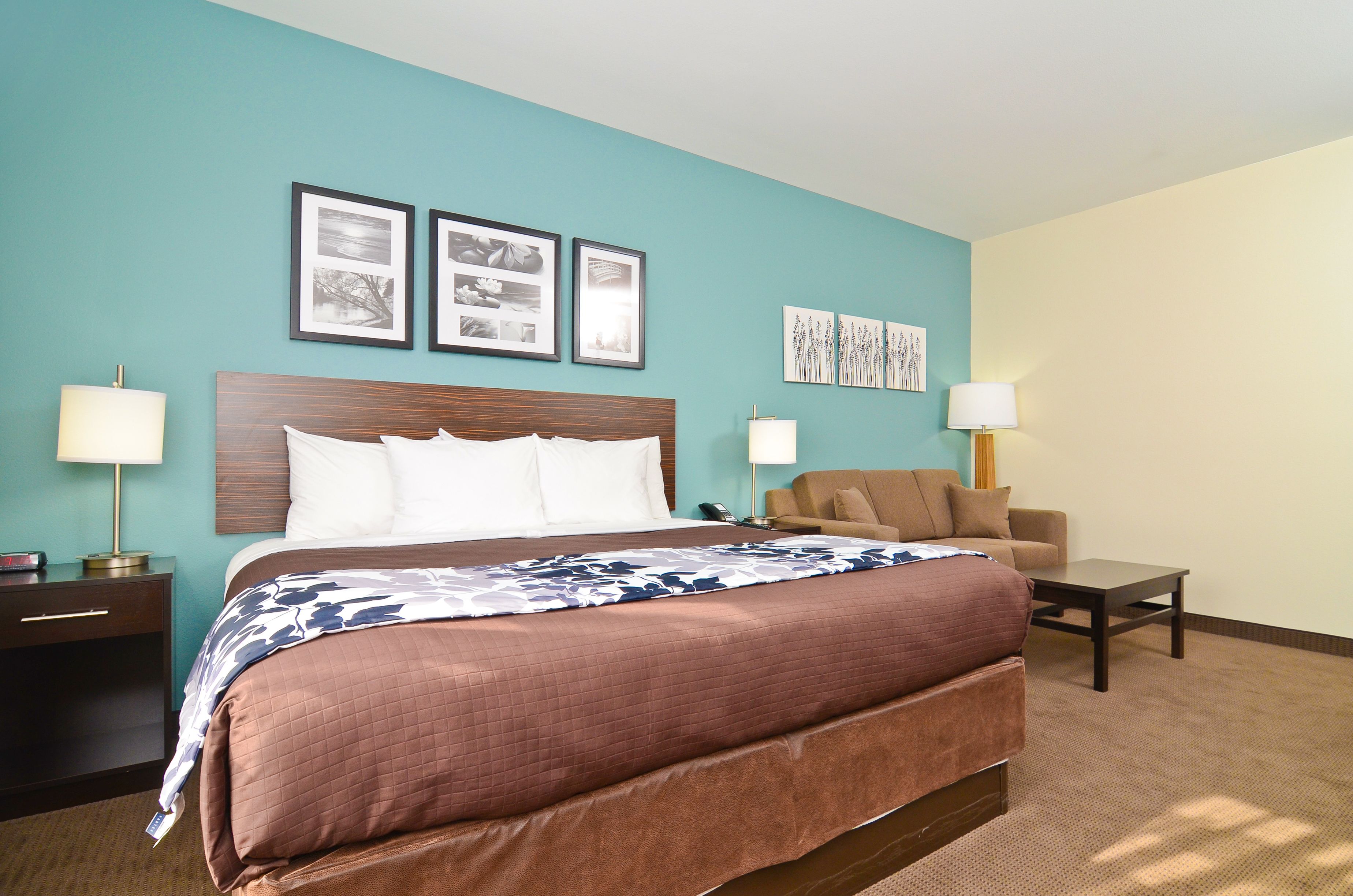 suite, non smoking | premium bedding, down duvets, pillow-top beds, desk