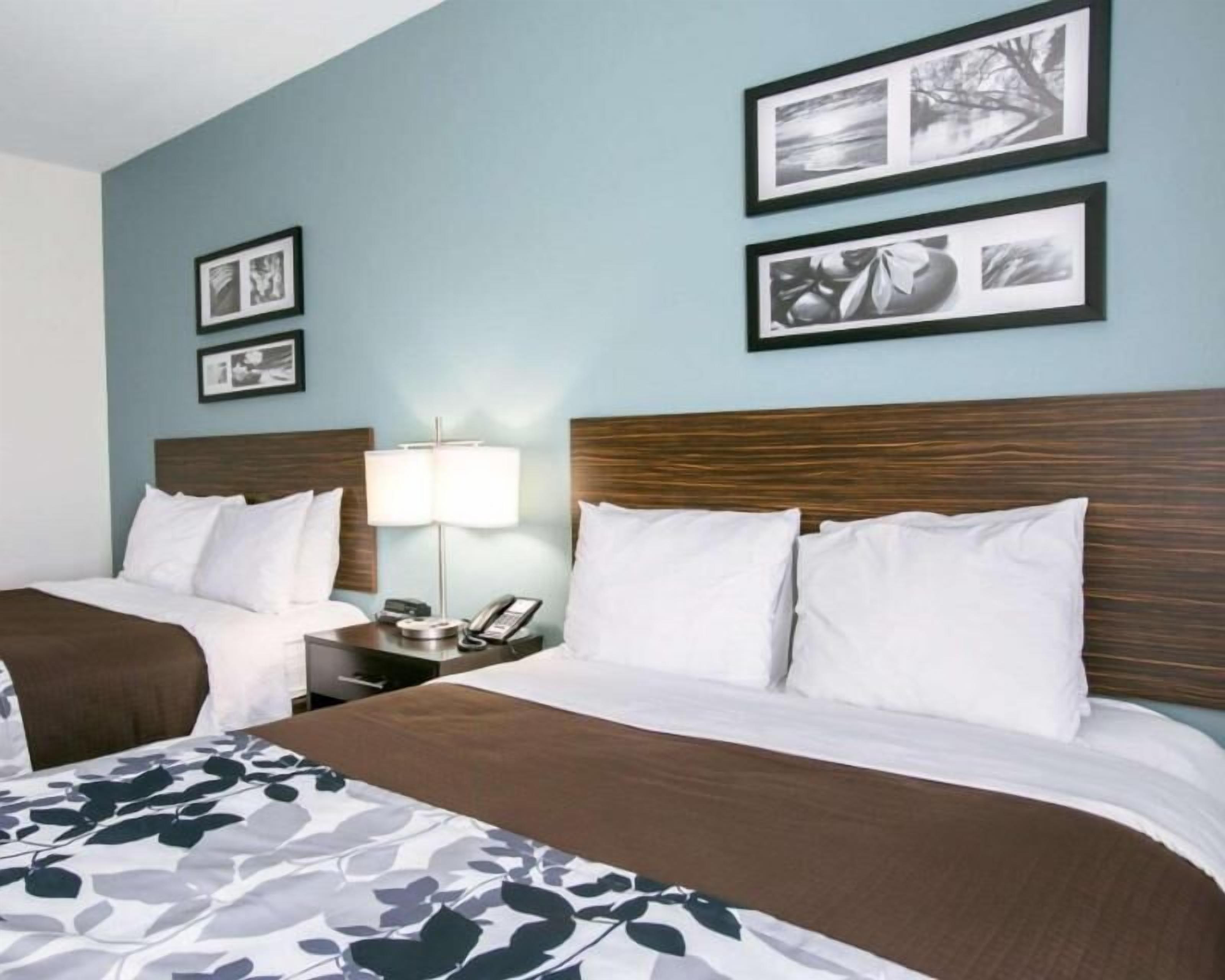 Premium bedding, down duvets, pillow-top beds, desk