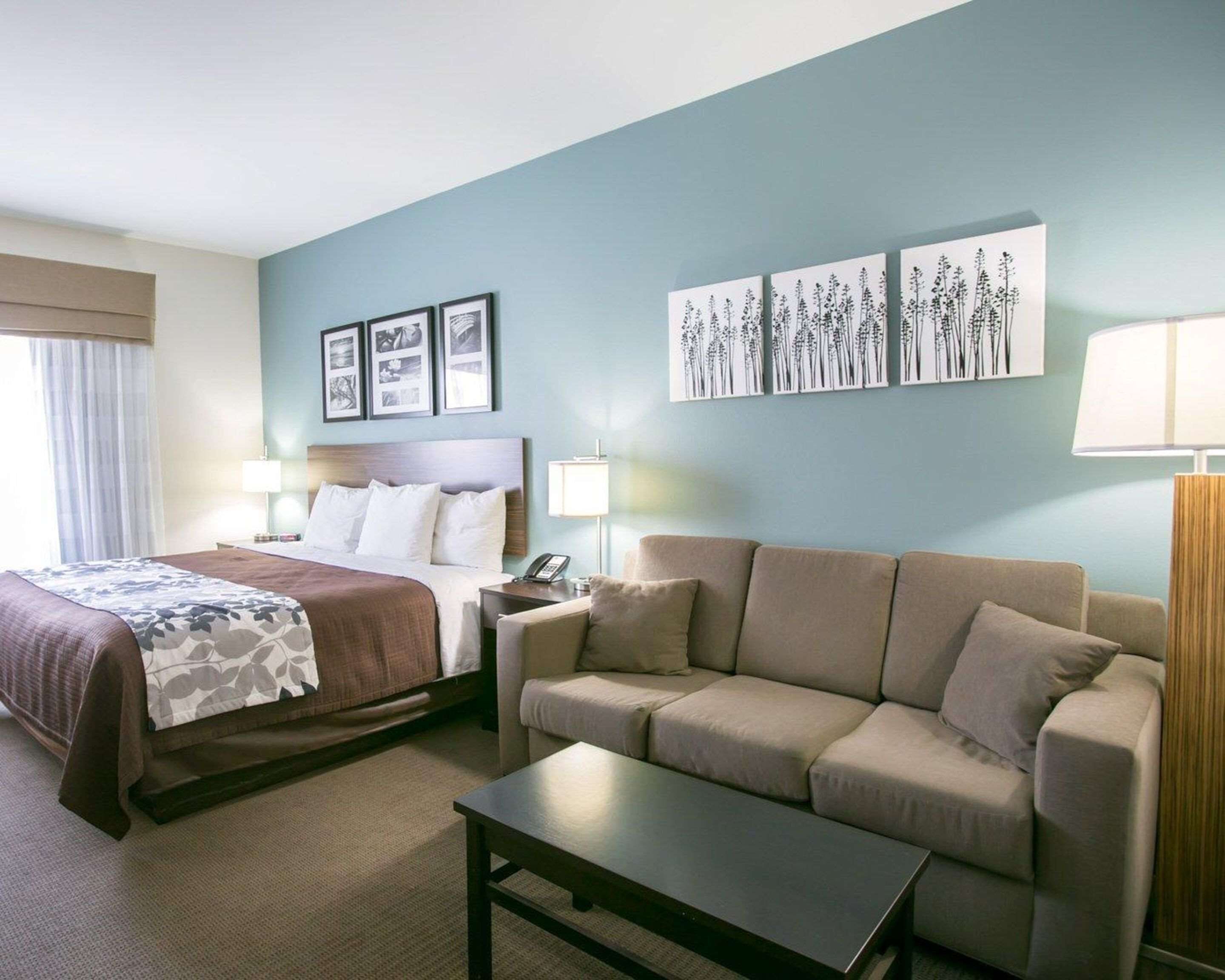 premium bedding, down duvets, pillow-top beds, desk