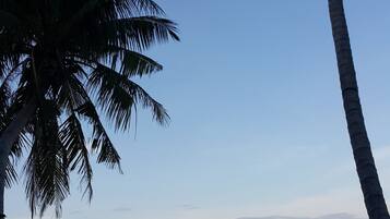 Plage, serviettes de plage