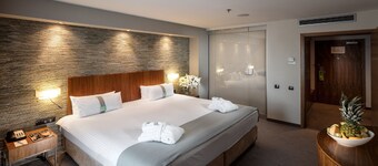 Holiday Inn Lodz by IHG