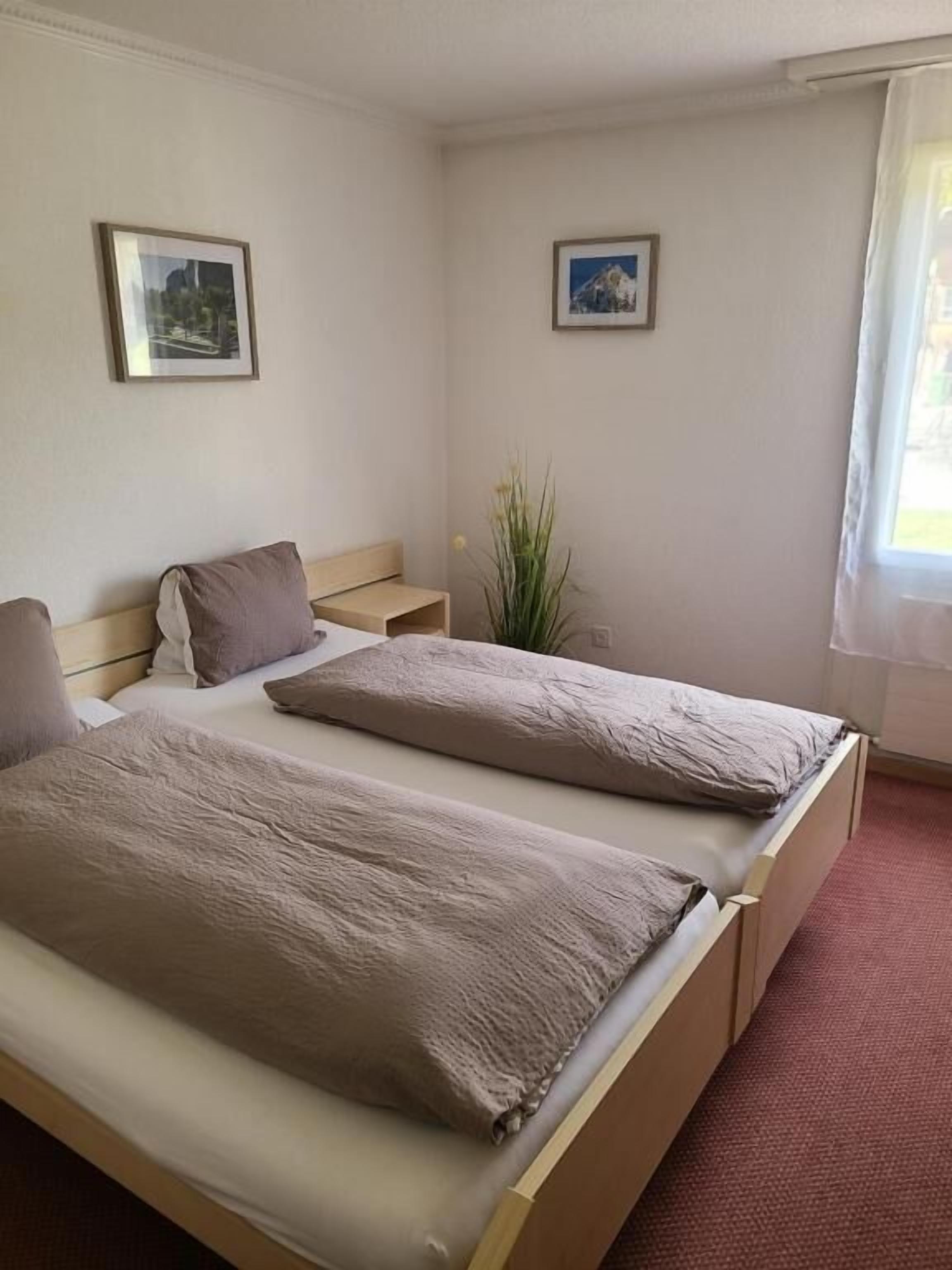 Une chambre avec deux lits, une table de chevet, une plante en pot et des tableaux encadrés accrochés au mur.