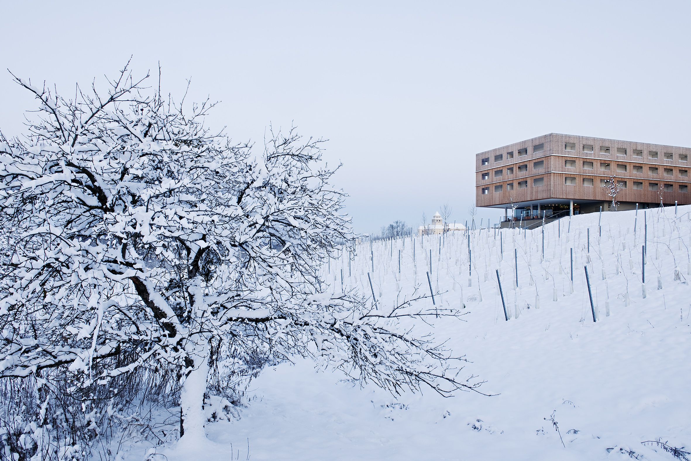 Un edificio dallo stile architettonico moderno, circondato da alberi innevati e da una recinzione.