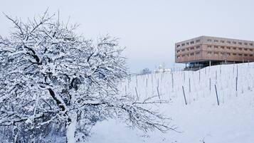 Un edificio dallo stile architettonico moderno, circondato da alberi innevati e da una recinzione.