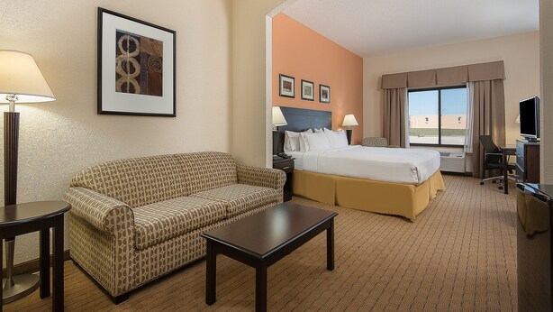 A hotel room with a bed, a sofa, a desk, a lamp, and a framed picture on the wall. - Holiday Inn Express & Suites Lafayette East by IHG (Lafayette)